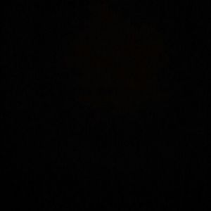 Meet your Posher, Samuel